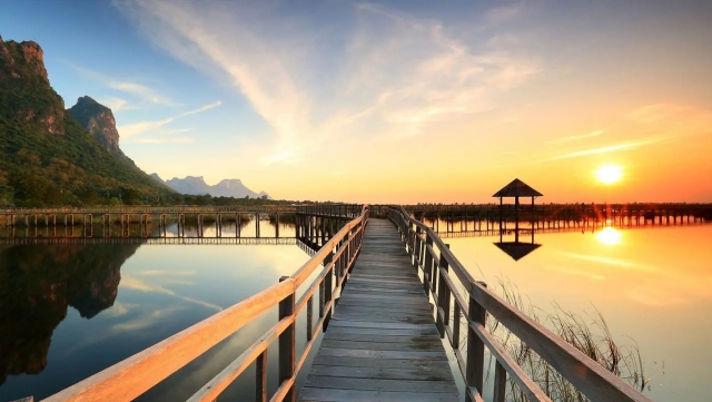 B站Bilibili-财报分析及问答